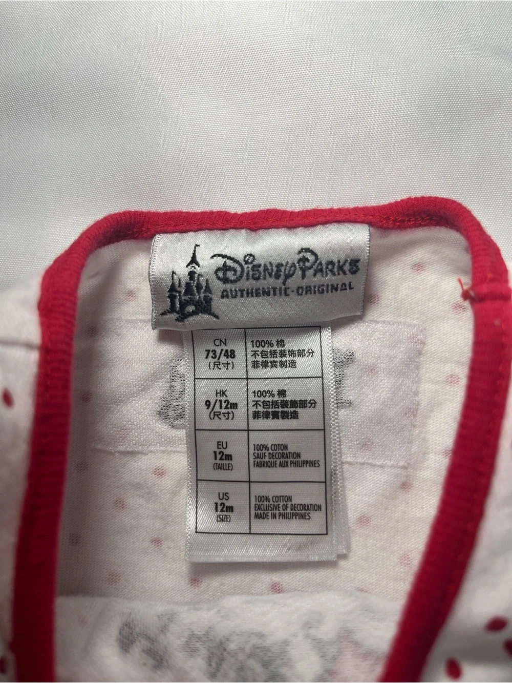 Disney parks minnie